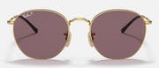 Rob - Arista - Dark Violet Polar